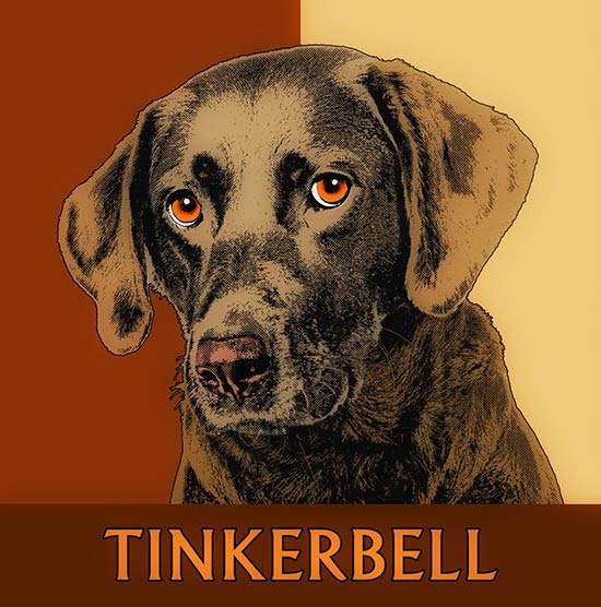 Labrador Pop Art Portrait Geschenkidde Hundebesitzer braun schwarz
