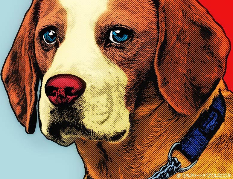 Hundeportrait Beagle Geschenkidee
