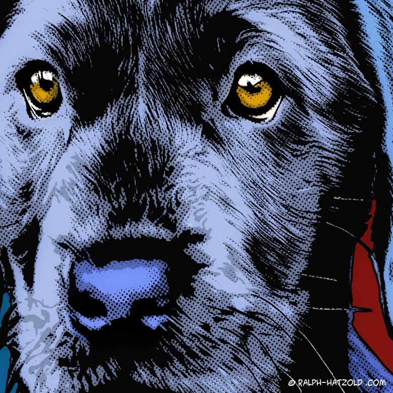 foto in pop art umwandeln, foto pop art Portrait von Ihrer Vorlage, pop art Bilder, andy warhol bilder, pop art studio, pop art portrait, pop art leinwand, Pop Art Portrait andy warhol stil, foto andy warhol, Pop Art Bilder, Pop Art Comic, Hundeportrait, Hunde, Hund