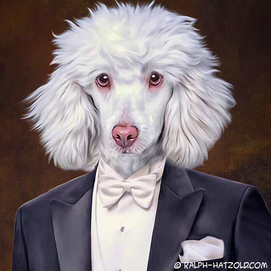 Hund in Kleidung Pudel im Anzug Gemälde in Uniform gerahmt in 40x50cm Geschenkidee für Hundebesitzer