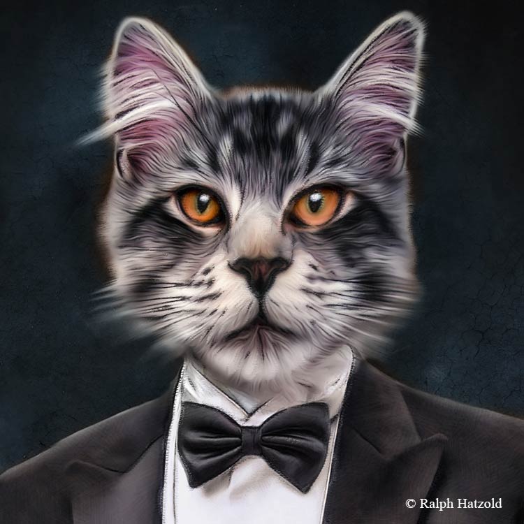 Katzenportrait im Frack, Katze in Kleidung, Gemälde Katzen, Geschenk für Katzen