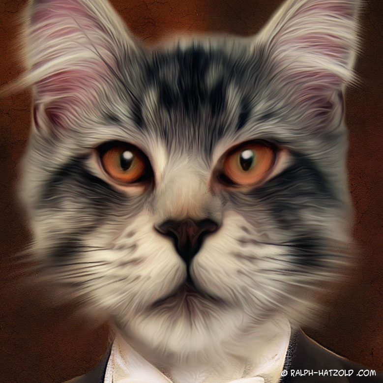 Katzen Portrait im Anzug, Kater Karlo, Katzenportraits von Ihrem Foto