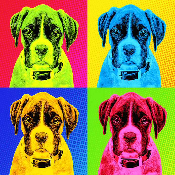 Pop Art Portrait Boxer, Pop Art Geschenk Hund, Geschek Hunde Pop Art Andy Warhol Stil