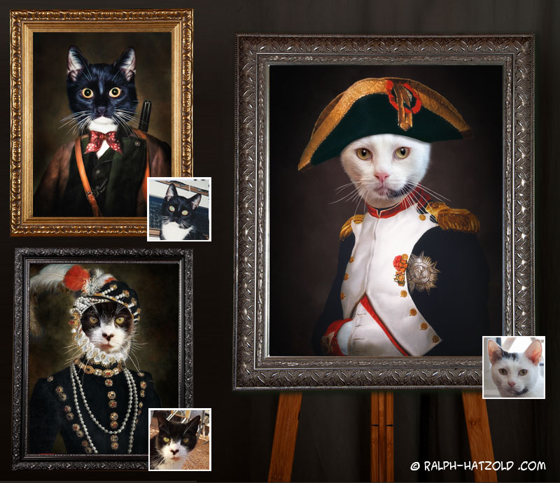 katze-in-uniform-gemaelde-katzenportrait-kleidung-napoleon-anzug-kater-im-kleid katzenportrait in Kleidung, gemälde Katze in Uniform, Katze Napoleon, Katz im Kleid