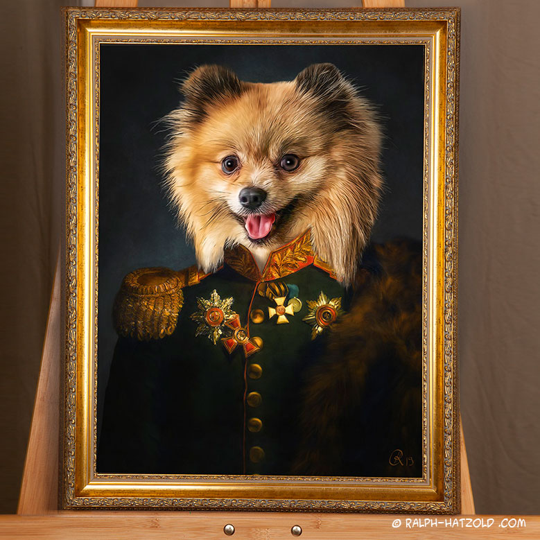 Spitz in Uniform, Hundeportrait in Kleidung, Gemälde Stil, Barockrahmen