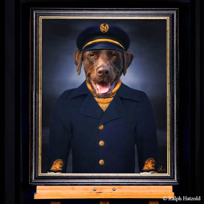 brauner Labrador in Kapitäns Kleidung Hund in Kleidung