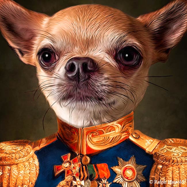 Hundeportrait Chihuahua in Uniform General Geschenkidee