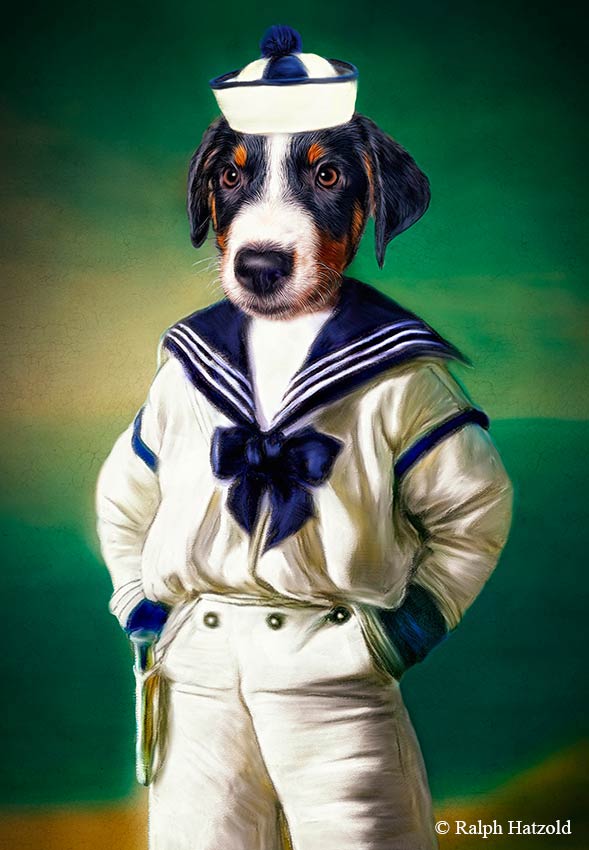 Appenzeller Sennenhund "Apollo", Hundeportrait in Uniform