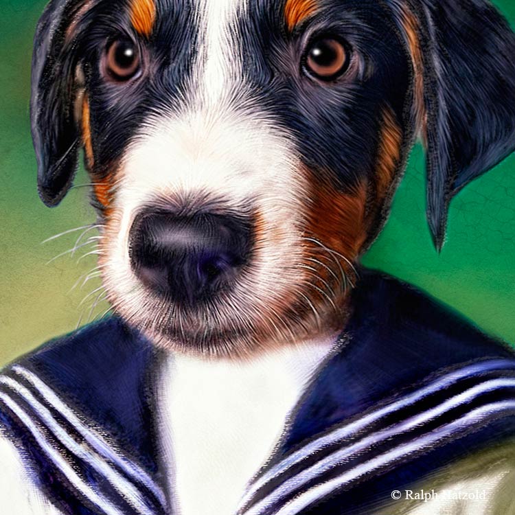 Hundeportrait Appenzeller Sennenhund hund in Kleidung Matrosenanzug Geschenkidee Gemaelde welpe