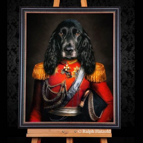 Cocker Spaniel in roter Uniform, Hundeportrait Gemälde Haustier in Kleidung