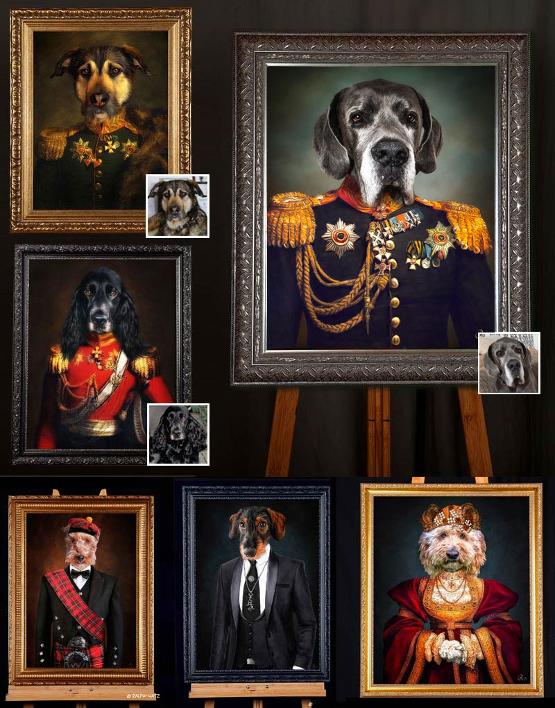 Hundeportraits in individueller Kleidung, Uniform, Kleid, Anzug, Schotte