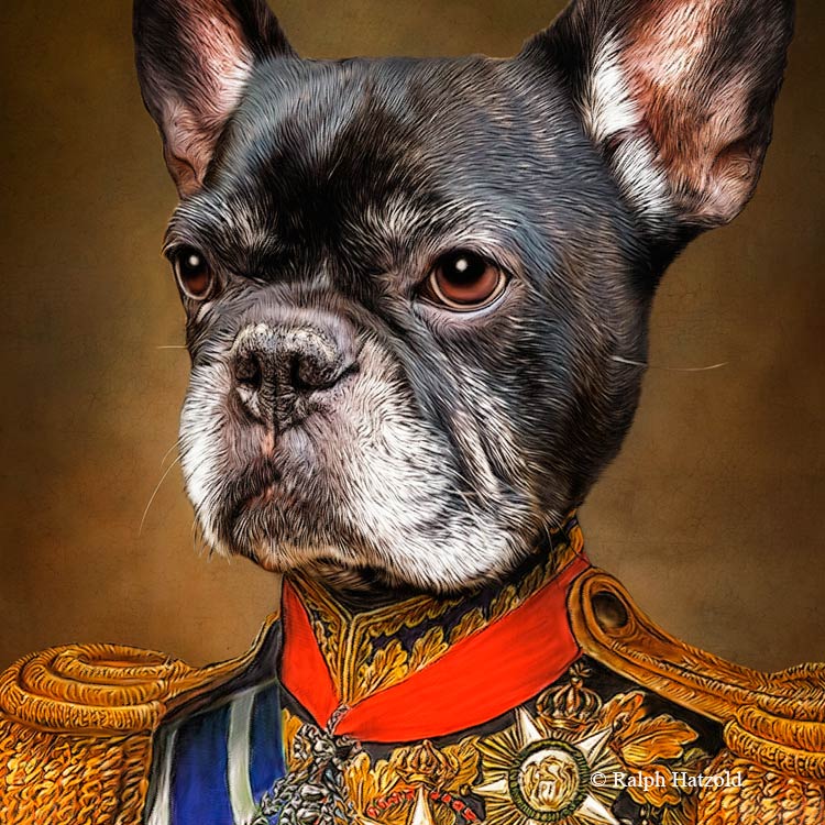 Französische Bulldogge Gemälde in Uniform,Frenchie, Bully, French Bully, Hundeportrait in Uniform, Geschenkidee für Hundebesitzer