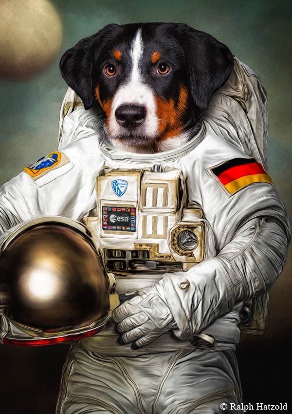 Appenzeller Sennenhund Gemälde Geschenkidee Haustier als Gemälde,  in Kleidung  Hund als Asronaut