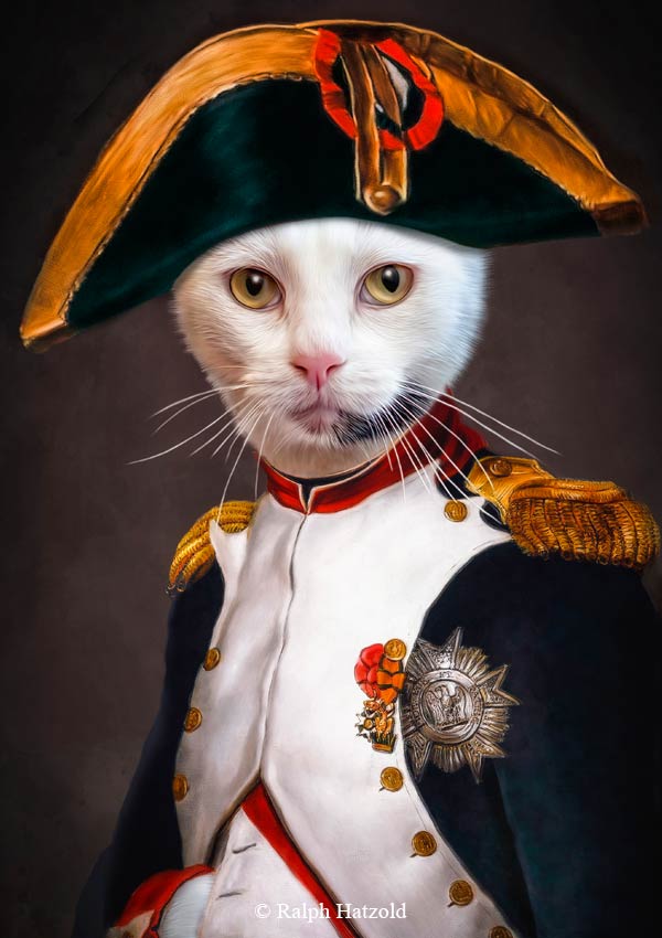 Katzenportrait Sylvester Napoleon Banaparte, Katze in Uniform, Katzen in Kleidung, Barockrahmen, Geschenk für Katzenfreunde, Katze Gemälde Stil