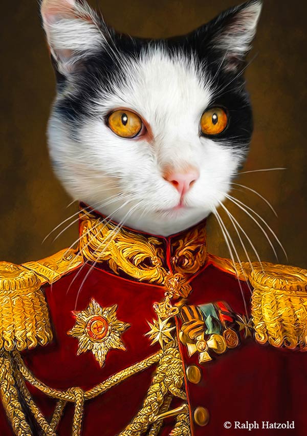 Katzenportrait Minki, Katze in roter Uniform, Katzen in Kleidung, Barockrahmen, Geschenk für Katzenfreunde, Katze Gemälde Stil