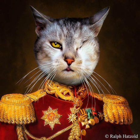 Katze Luzie in Uniform, individuelles Kunstwerk kaufen, Katzenportrait, gerahmt