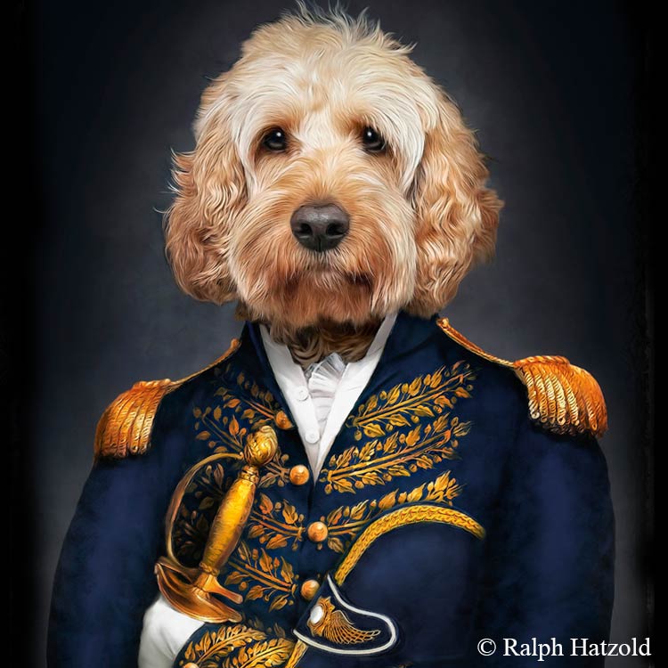 cocker spaniel poodle mix dog in uniform, Gemälde Portrait