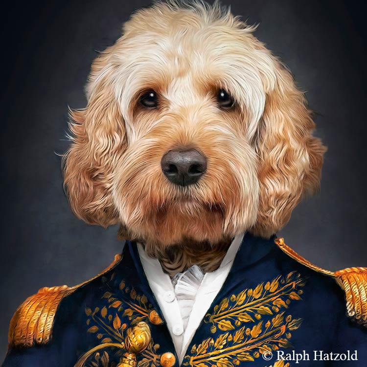 Cockerpoo in Uniform, Hundeportrait vom eigenen Hund in historischer Kleidung, cocker poodle dog, Ralph Hatzold