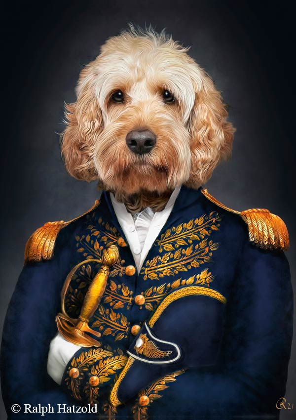 Cocker poodle in Uniform, Portrait vom eigenen Hund in historischen Uniformen, cocker poodle dog, Geschenkidee cockerpoo