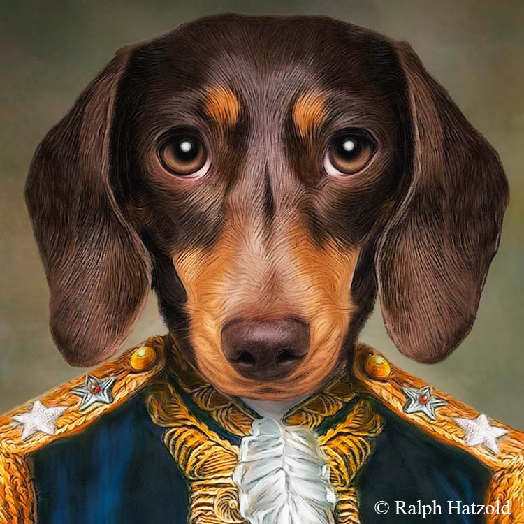 Dackel, Dachshund, Dachsie, Gemälde Hundeportrait in Uniform, individuelles Portrait vom eigenen Hund, Marquis Axel