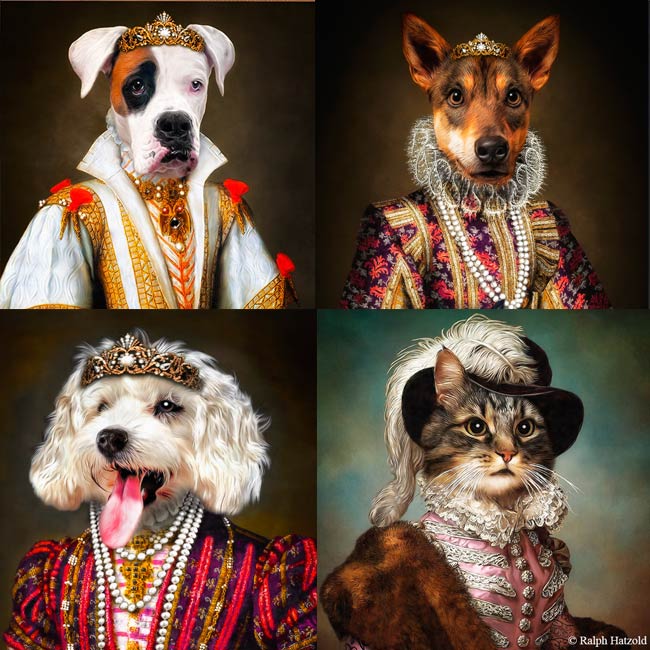 Hunde und Katzen Portrait im Kleid