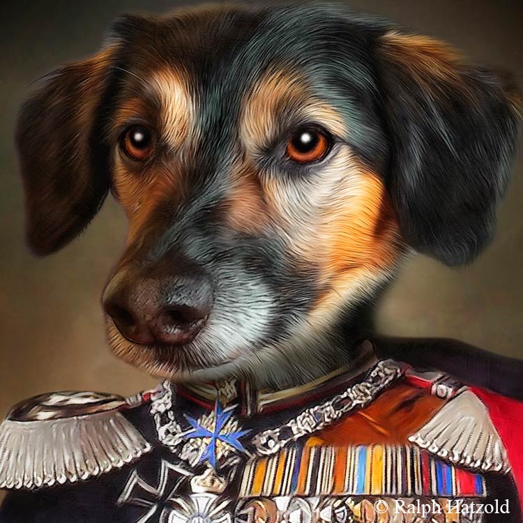 Dackel als Kaiser WilhelmI. von Preussen, Hund in historischer Kleidung