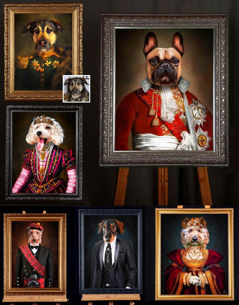 Hundeportraits in individueller Kleidung, Uniform, Kleid, Anzug, Schotte