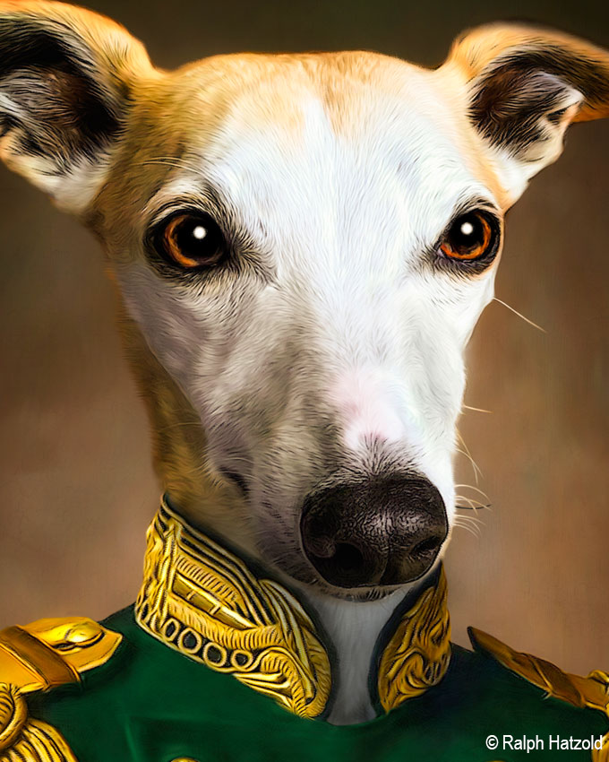 Detailansicht Whippet in Uniform