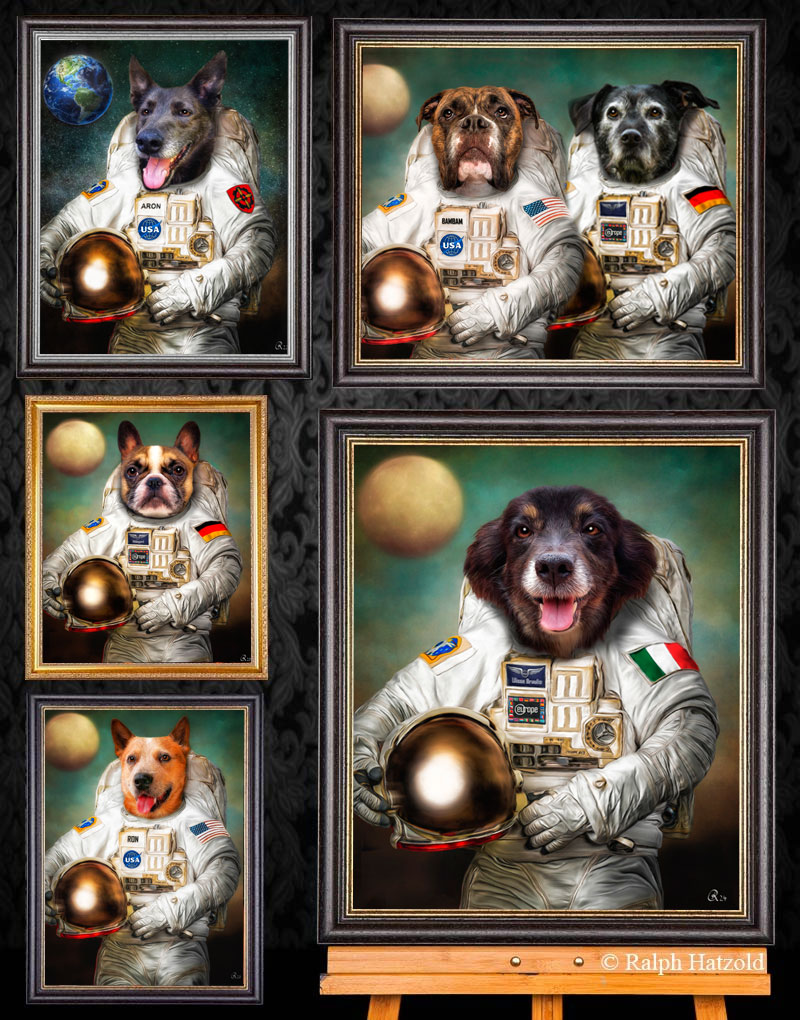 Beispiele: Hunde als Astronauten – individuelle Porträts mit Raumanzug und Flagge