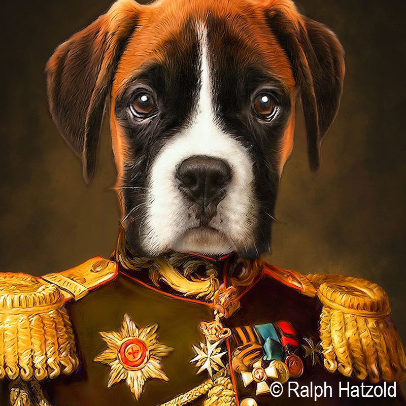 Detailansicht frontal des Porträts von Boxer Oliver in Generalsuniform – personalisiertes Hundeportrait als Gemälde von Ralph Hatzold