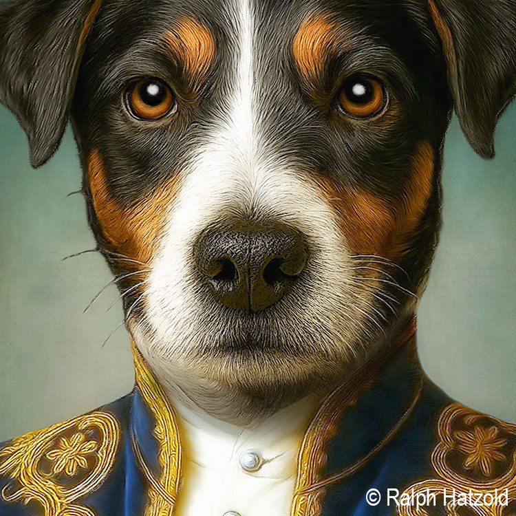 Detailansicht: Jack Russell Terrier als Baron – blauer Rokoko-Rock mit goldener Stickerei