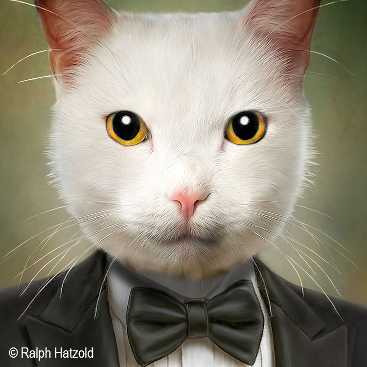 Detailansicht – weiße Katze im Frack mit schwarzer Fliege und goldgelben Augen.