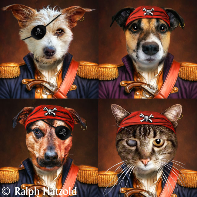 Vier Tierporträts als Piraten: drei Hunde und eine Katze, zwei mit Augenklappe, unterschiedliche Kopftücher und Jackenfarben als Beispiel für verschiedene Gestaltungsmöglichkeiten