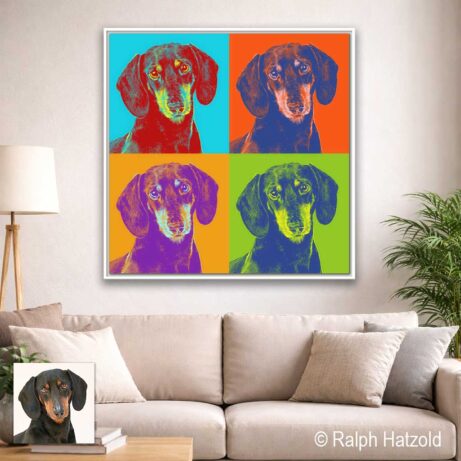 Pop Art Dackel Porträt Willi im Classic Hannah Stil in kräftigen Farben als Leinwandbild im Stil Andy Warhol
