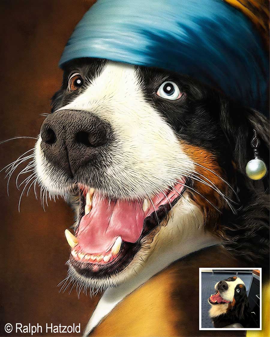 Detailansicht eines Berner Sennenhund Hundeportraits im Stil von Johannes Vermeer