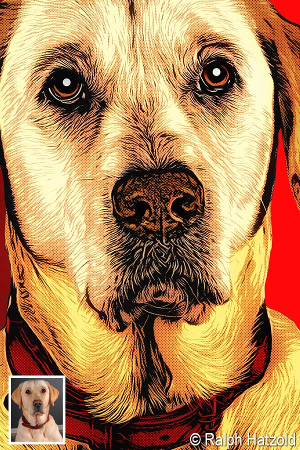 Detailansicht eines Hunde Pop Art Portraits im Comic Stil mit Punktraster