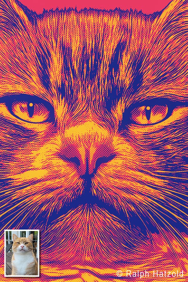 Detailansicht eines Katzenportraits von Kater Leo im Pop-Art-Stil nach Andy Warhol mit farbigen Kontrasten und grafischen Strukturen
