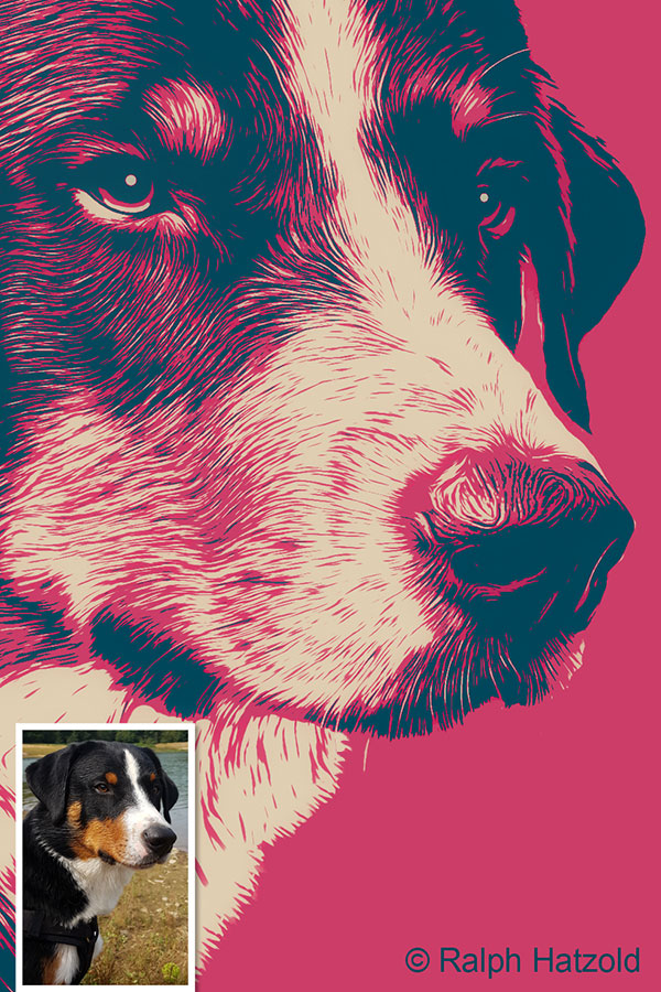 Pop Art Detailporträt des Appenzeller Sennenhundes Apollo nach persönlicher Fotovorlage