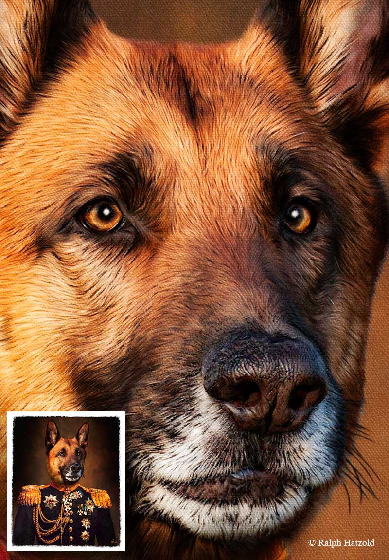 Detail des Deutschen Schäferhundes als General – limitierte Künstleredition von Ralph Hatzold