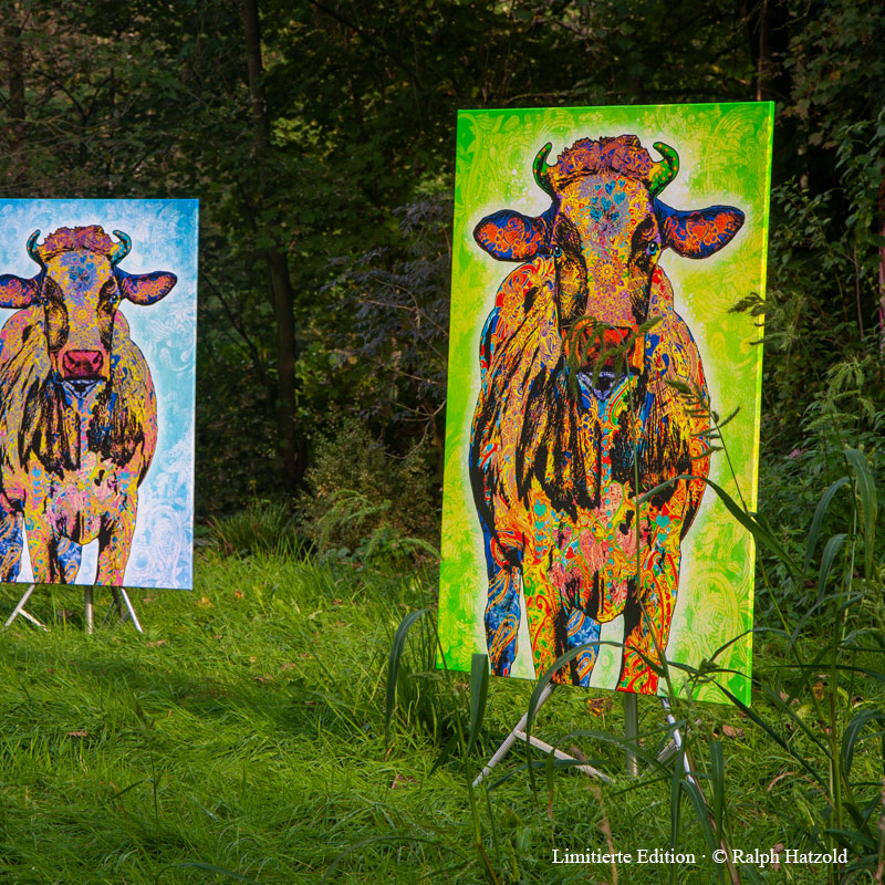 Großformatige Pop Art Kuh Emma im Format 100 × 150 cm bei einer Ausstellung von Ralph Hatzold